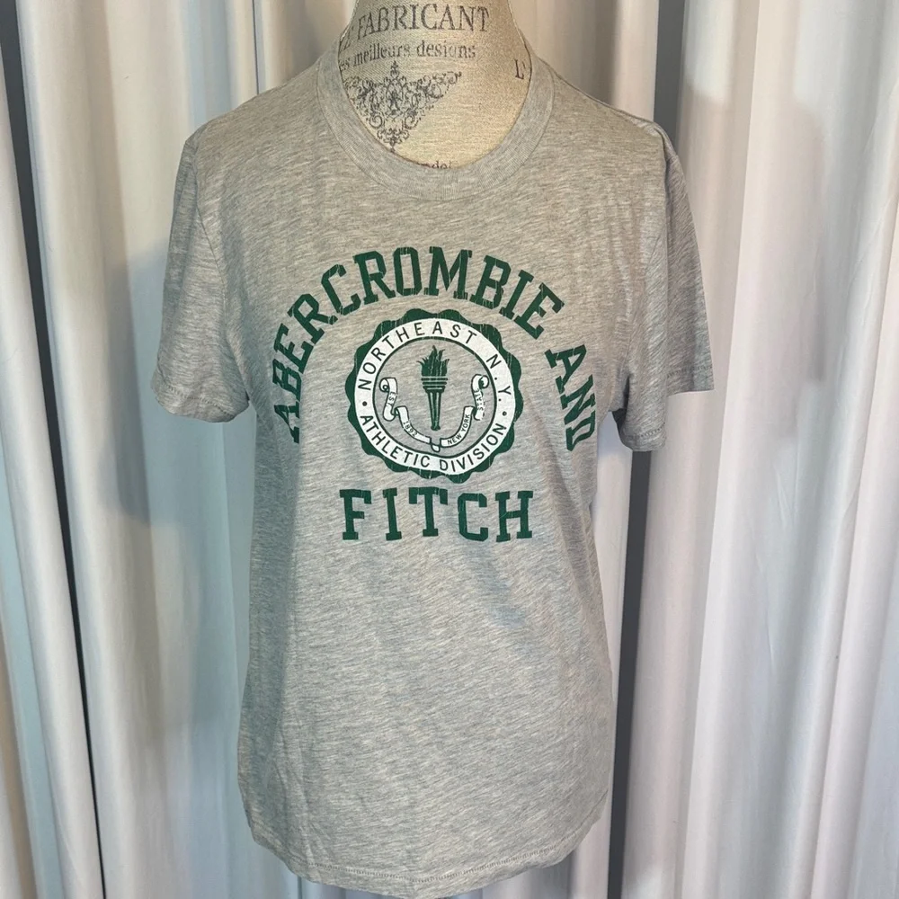 Abercrombie & Fitch Heather Gray Tee with Green Logo - Picture 1 of 9